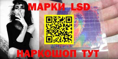 прущие грибы Краснодар