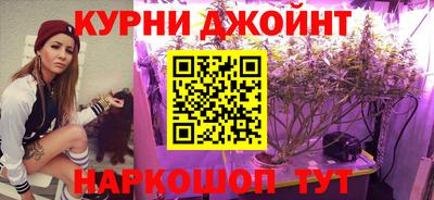 прущие грибы Краснодар