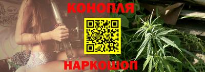 прущие грибы Краснодар