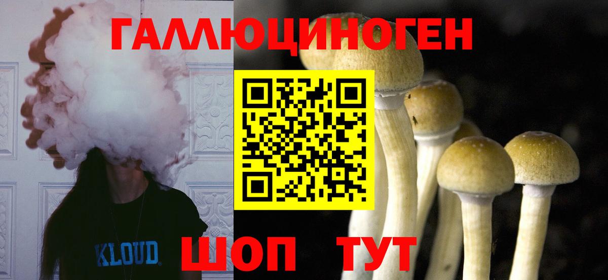 Псилоцибиновые грибы мухоморы Дзержинск